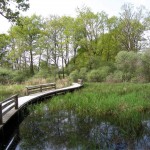 Le Haoud’ici Natural Area — Outdoors