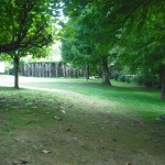 Le Haoud’ici Natural Area — Outdoors