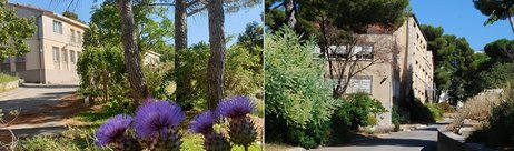 Liceo Agrario di Valabre — Esterni