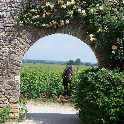 Chateau de la Velle — Extérieur